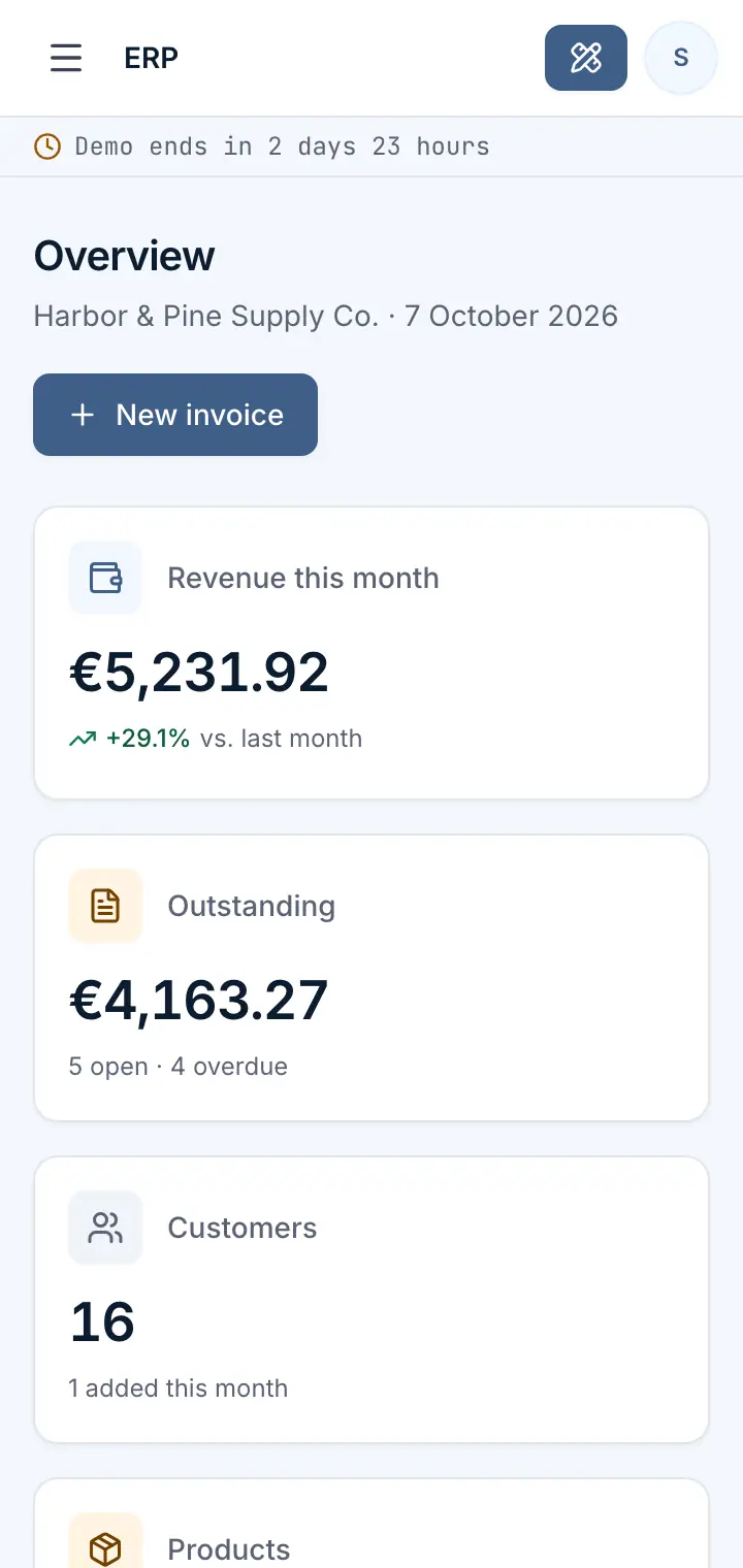 ERP demo: Overview